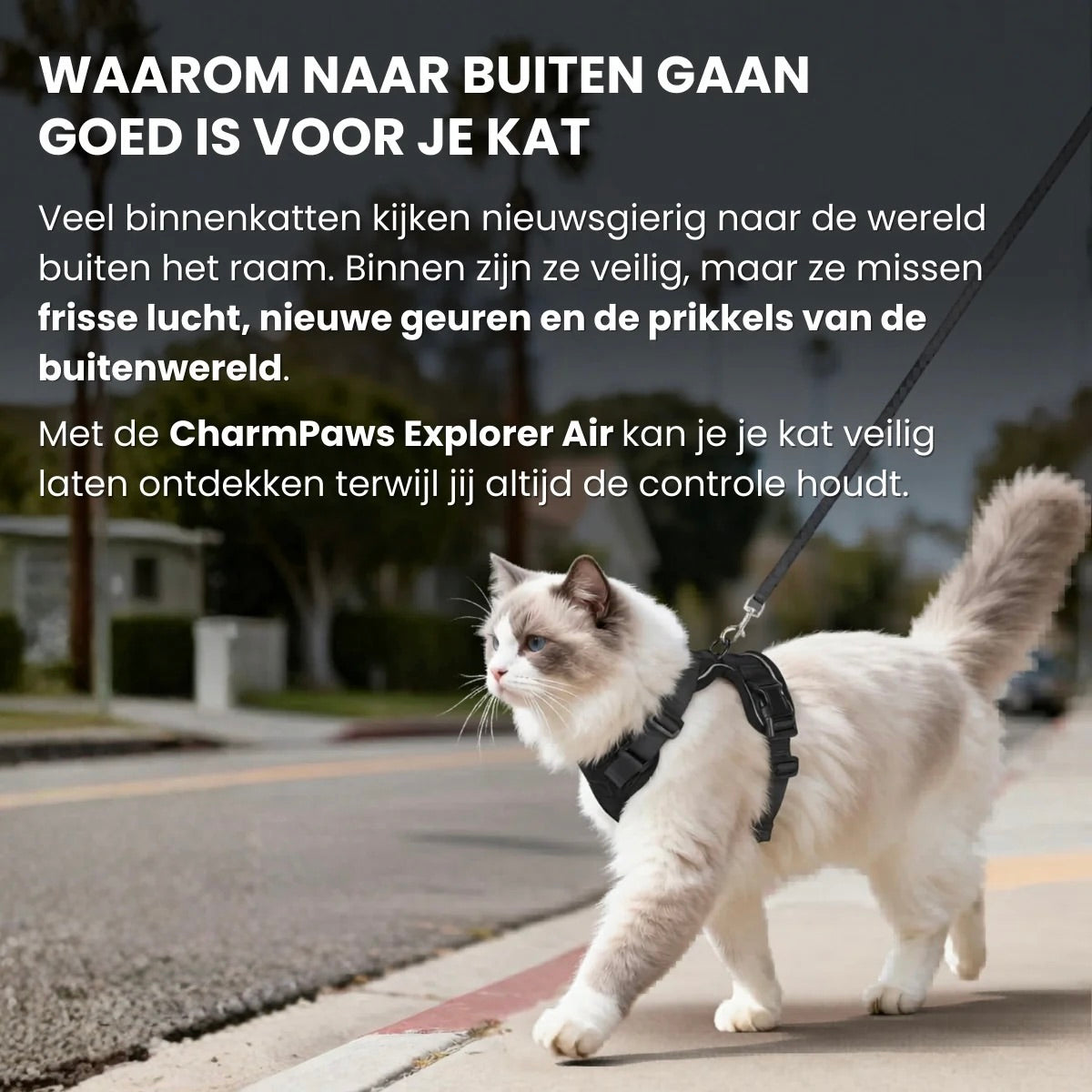 CharmPaws® Explorer Air - Breathable and Adjustable Cat Harness with Leash