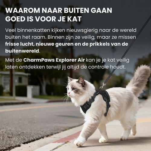 CharmPaws® Explorer Air - Breathable and Adjustable Cat Harness with Leash