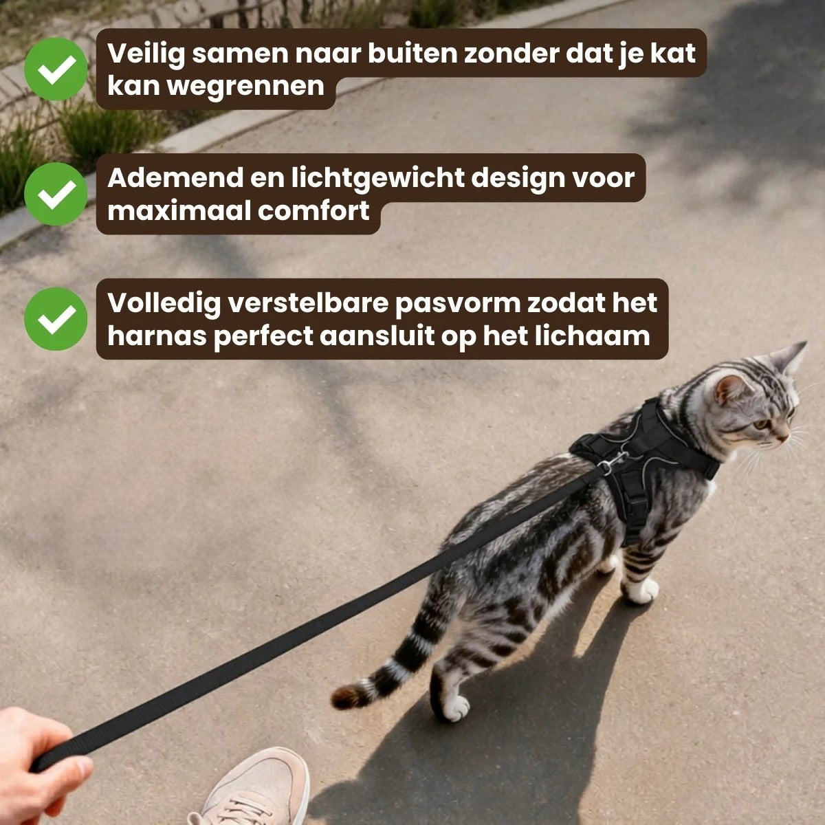 CharmPaws® Explorer Air - Breathable and Adjustable Cat Harness with Leash