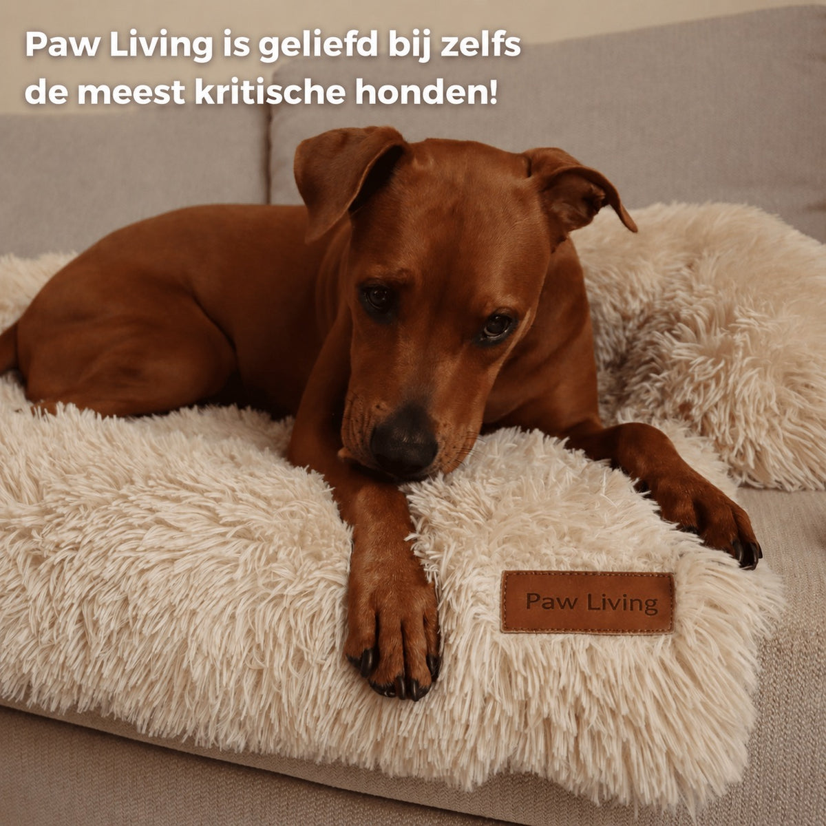 Original Pelsbarn Bed + Free Calming Blanket