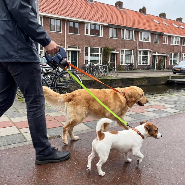 Daantje T.