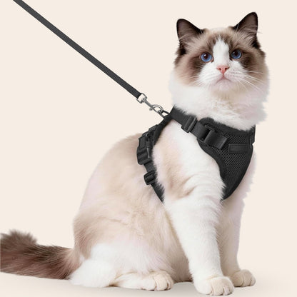 CharmPaws® Explorer Air - Breathable and Adjustable Cat Harness with Leash